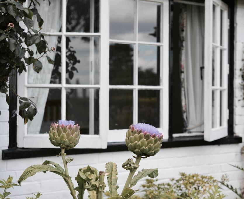 Highfield Lodge Тринг Экстерьер фото