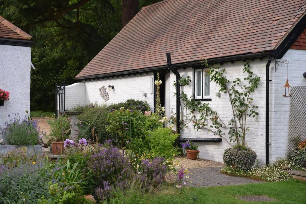Highfield Lodge Тринг Экстерьер фото